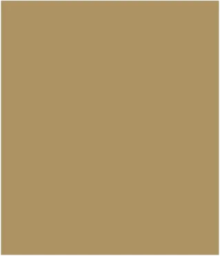 Camel Beige