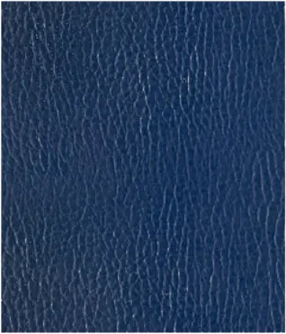 Norway Navy