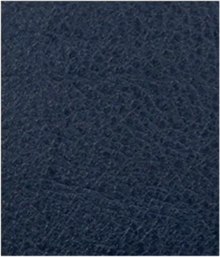 Norway Navy