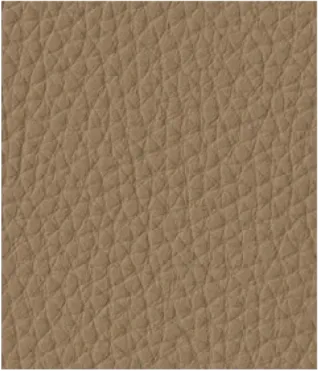 Sand Beige