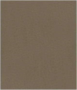 Sand Beige