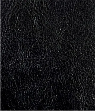 Shiny Black